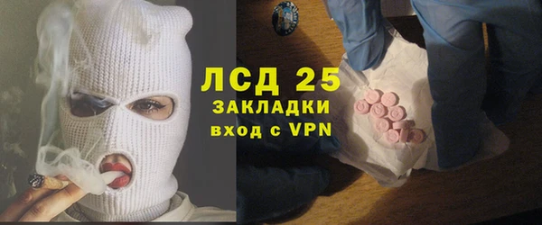 гидра Бородино