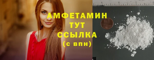 гидра Бородино