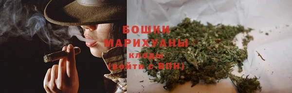 гидра Бородино