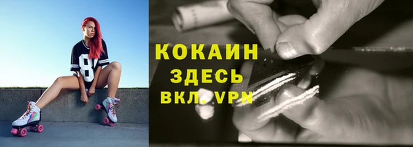 PSILOCYBIN Бронницы