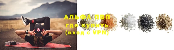 PSILOCYBIN Бронницы