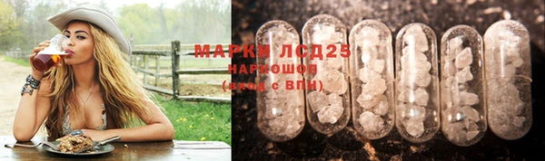 PSILOCYBIN Бронницы