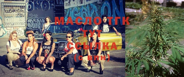 гидра Бородино