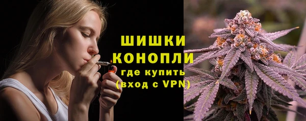 PSILOCYBIN Бронницы