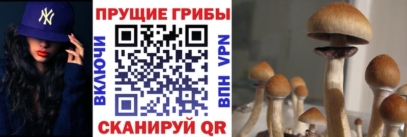 цена наркотик Воскресенск кракен рабочий сайт Галлюциногенные грибы MAGIC MUSHROOMS